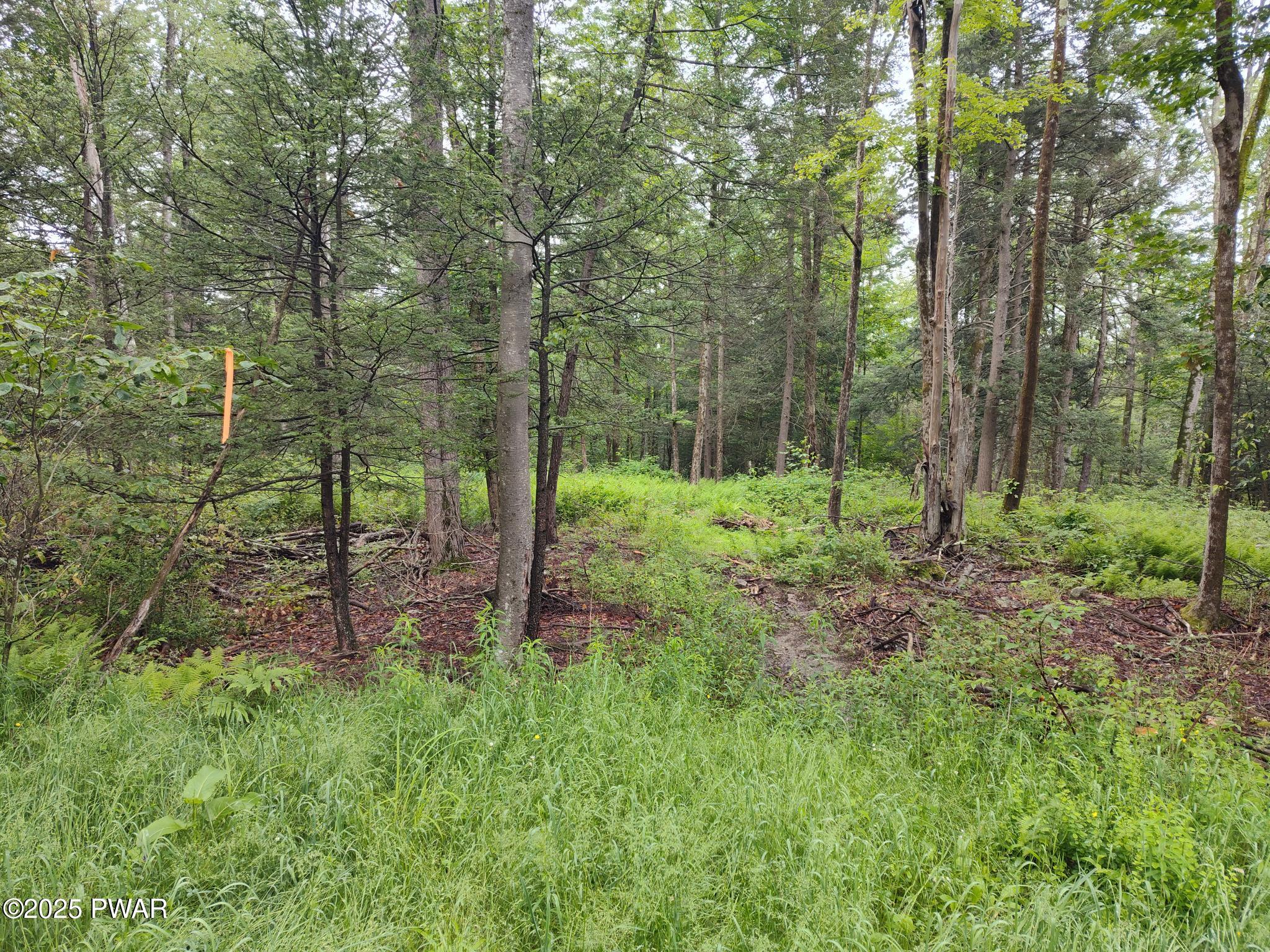 Lot 109 Aka) Gibralter Road Newfoundland, PA 18445 - Photo 10 of 19