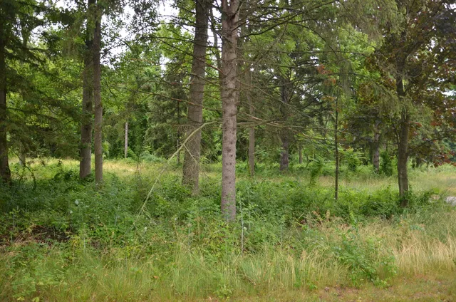 $215,000 | 15564 Highway 43, Hickory Corners, MI 49060