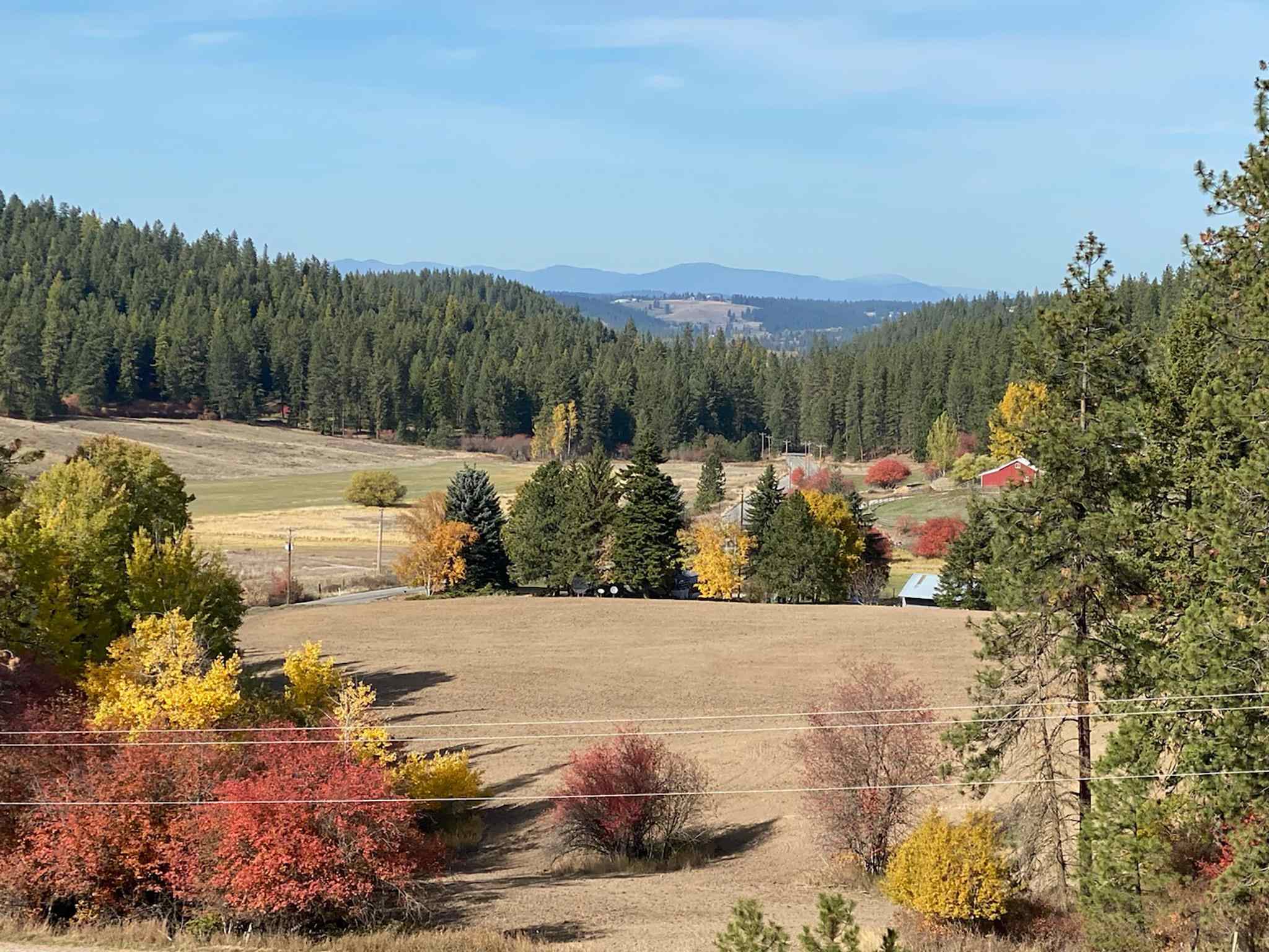 15612 East Farwell Road Spokane, WA 99217 - Photo 4 of 49