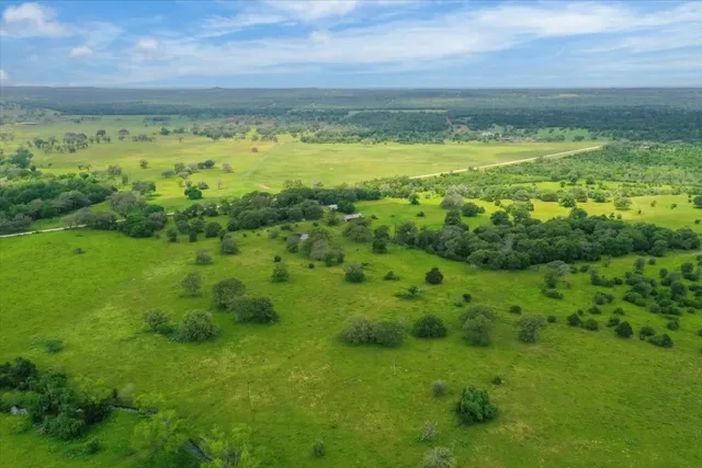 a view of a lush green space with lots of trees in the background
