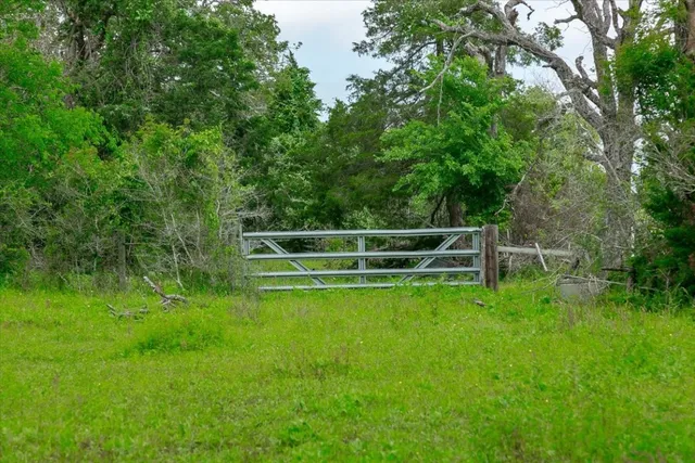 a view of a backyard with wooden fence and large trees