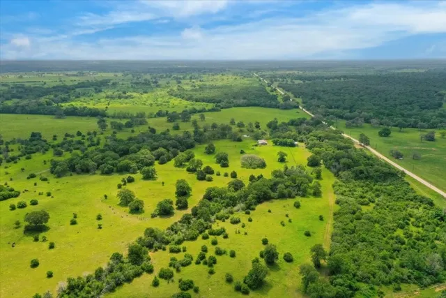 a view of a field with an ocean