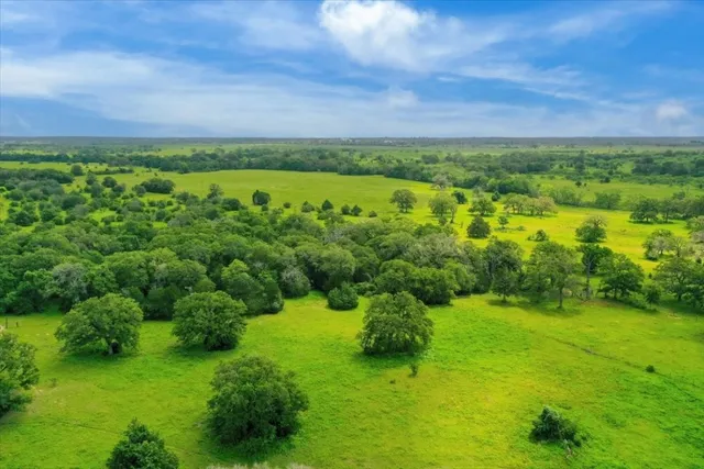 a view of yard with green space