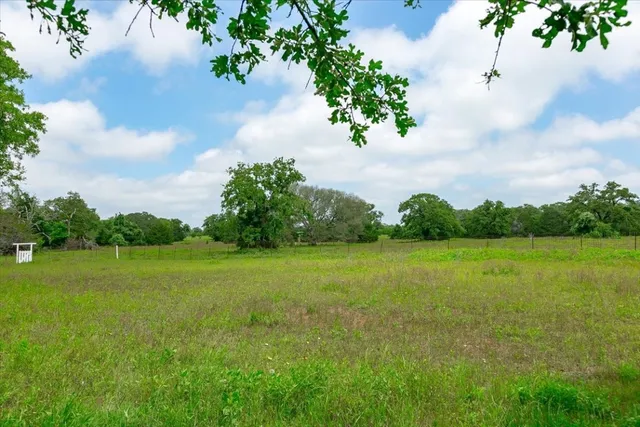 a view of a field with an trees