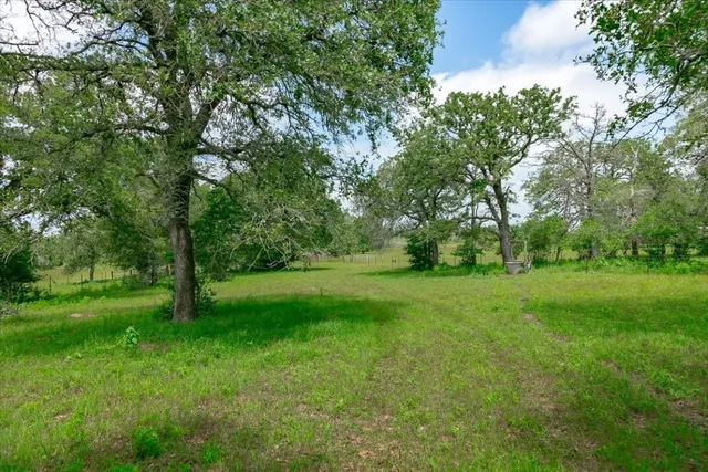 a view of grassy field with trees
