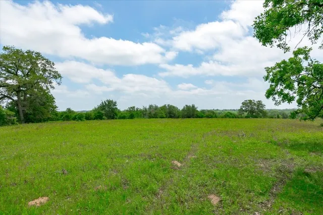 a view of field with an trees in the background