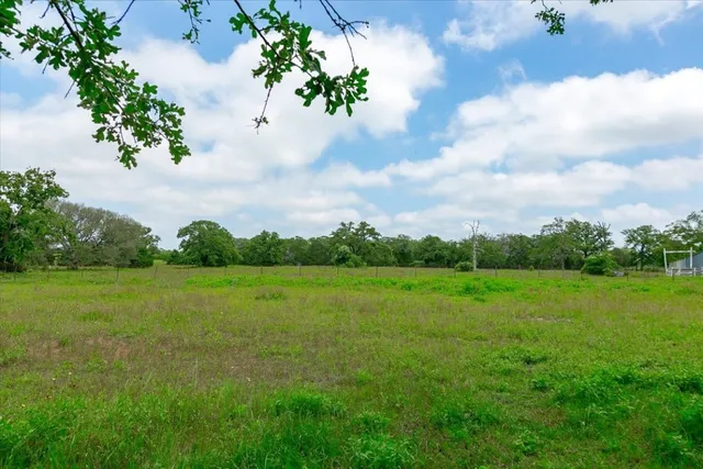 a view of field with grass and trees in the background