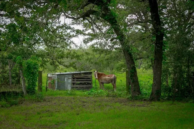 a view of a backyard with a garden