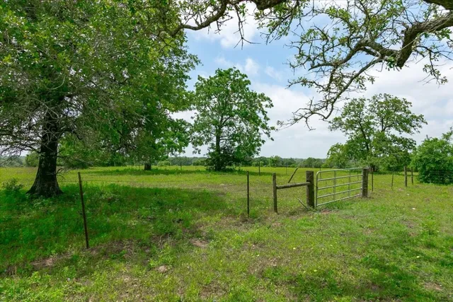 a view of a park with large trees