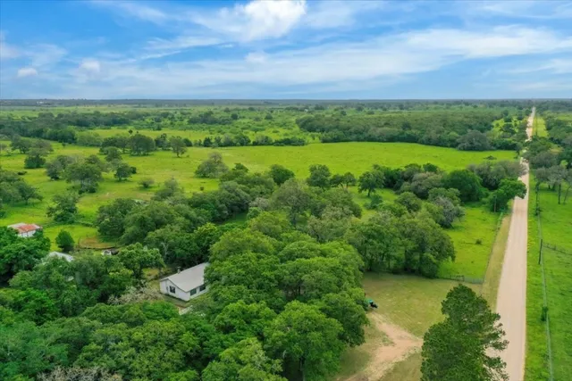 a view of a city with lush green forest
