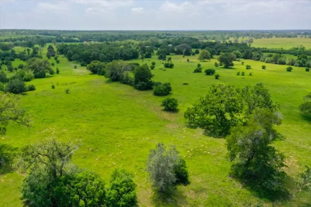 a view of a city with lush green forest