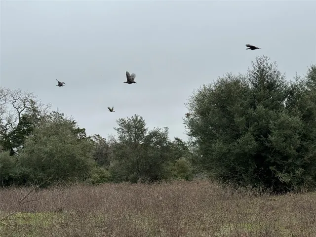 a view of a dry field