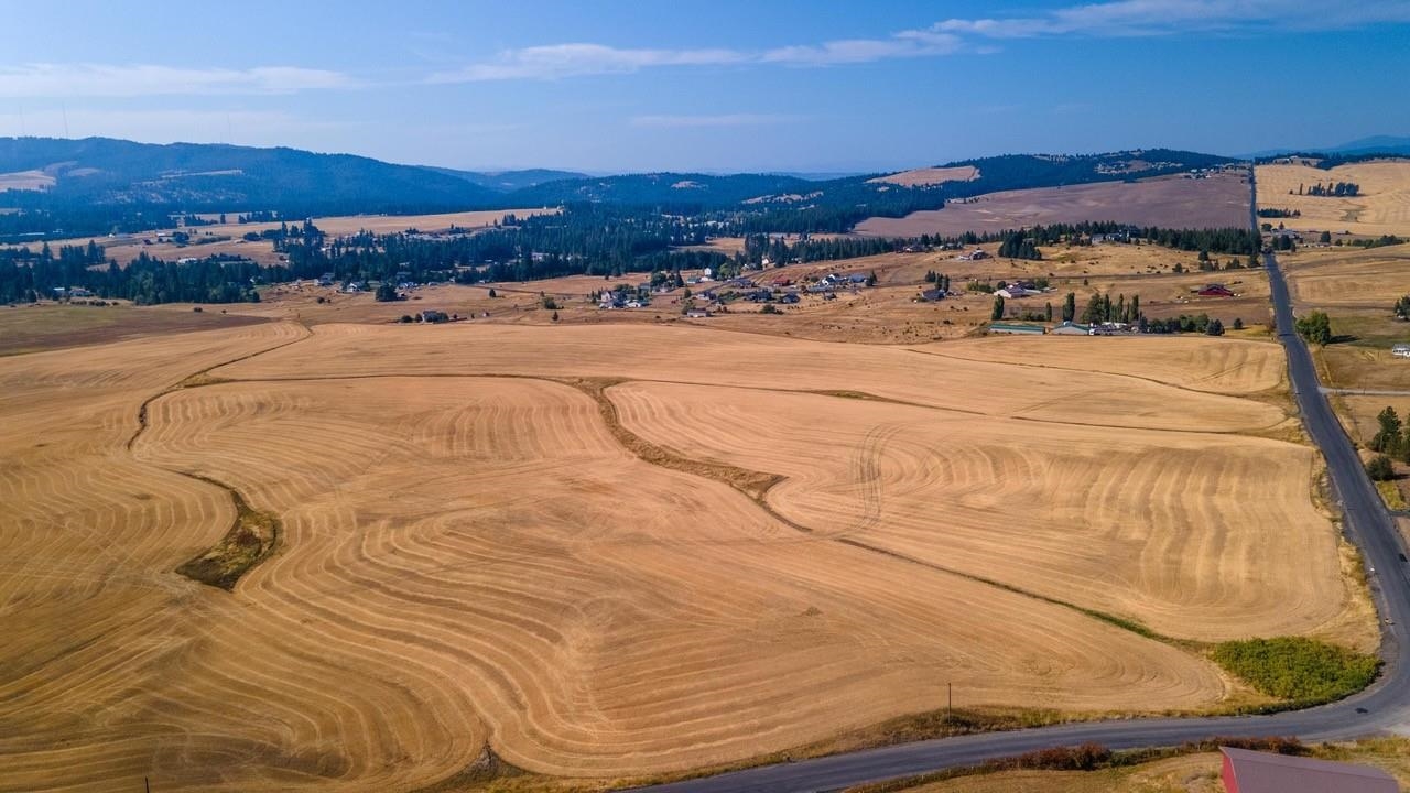 12404 South Jackson Road Mica, WA 99023 - Photo 8 of 15