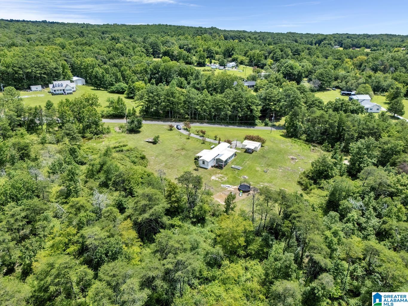 2101 Cliff Springs Road Oneonta, AL 35121 - Photo 40 of 42