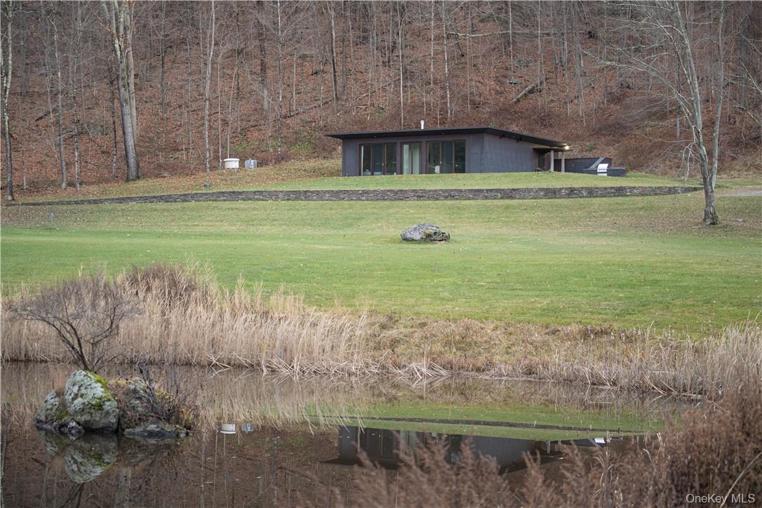 165 Duell Hollow Road Wingdale, NY 12594 - Photo 19 of 30