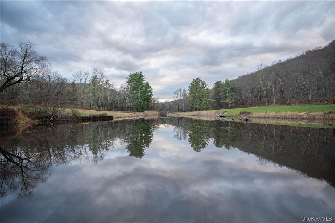 165 Duell Hollow Road Wingdale, NY 12594 - Photo 20 of 30