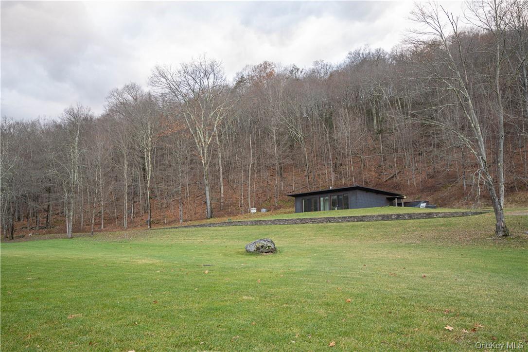 165 Duell Hollow Road Wingdale, NY 12594 - Photo 22 of 30