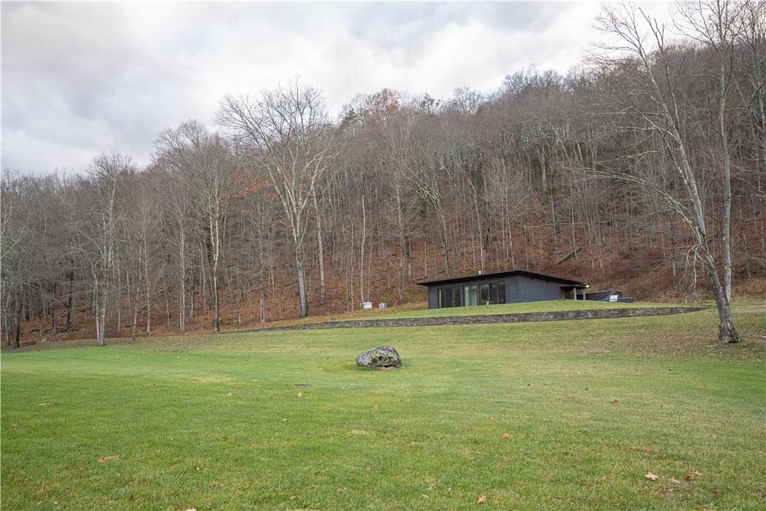 165 Duell Hollow Road Wingdale, NY 12594 - Photo 22 of 30