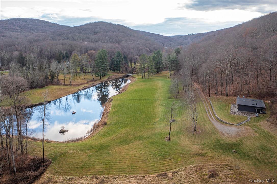 165 Duell Hollow Road Wingdale, NY 12594 - Photo 25 of 30