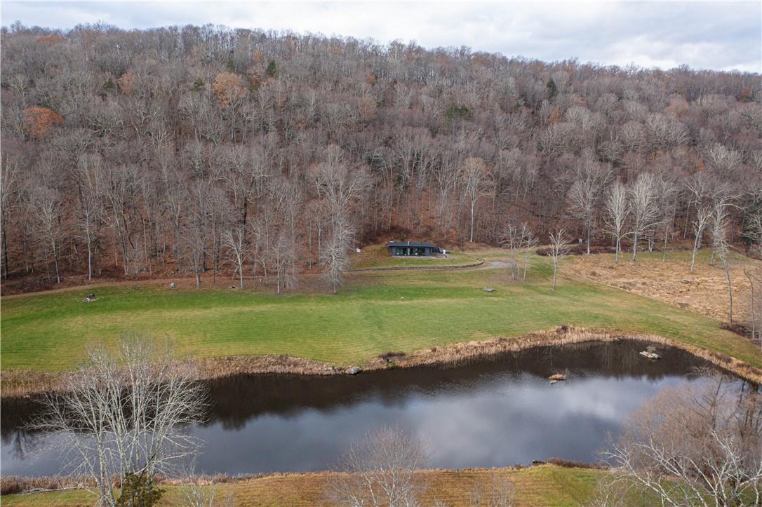 165 Duell Hollow Road Wingdale, NY 12594 - Photo 26 of 30