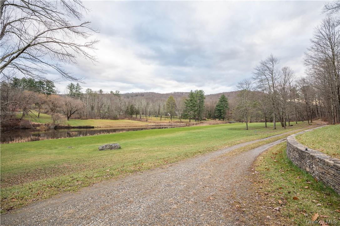165 Duell Hollow Road Wingdale, NY 12594 - Photo 27 of 30