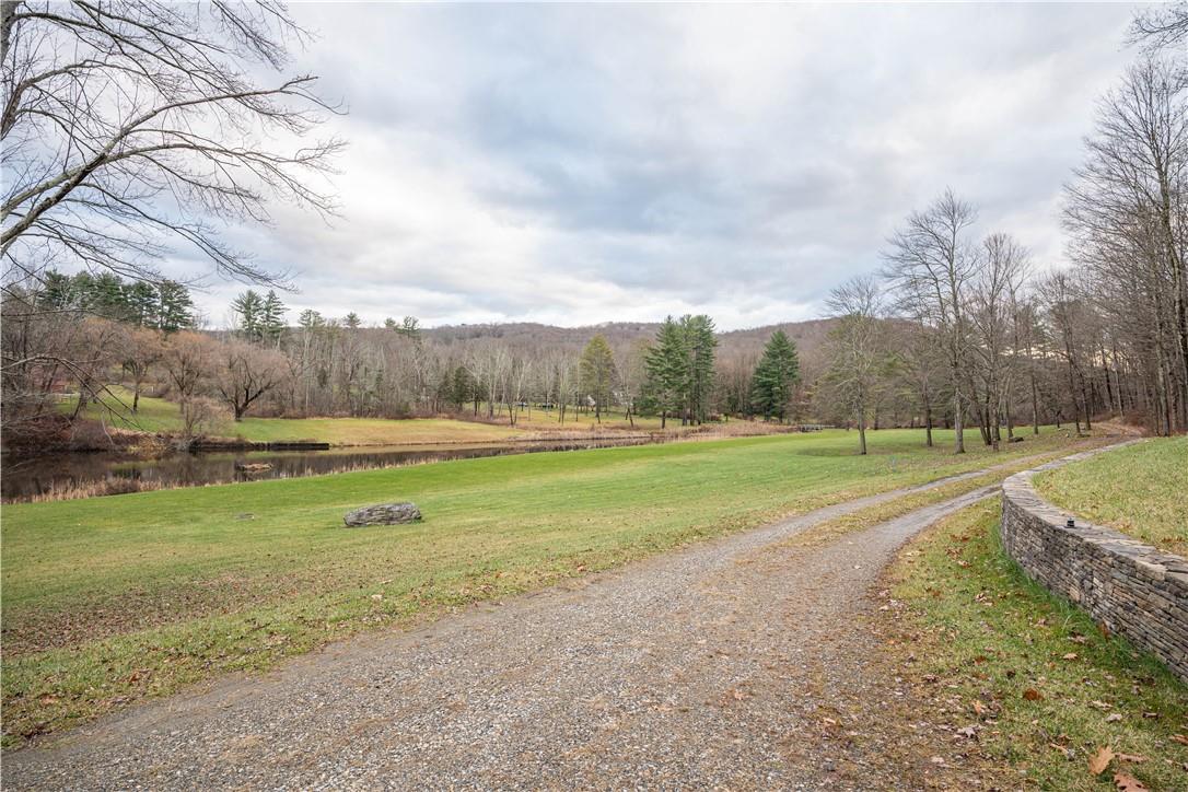 165 Duell Hollow Road Wingdale, NY 12594 - Photo 27 of 30