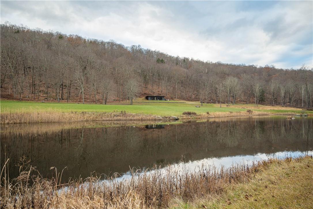 165 Duell Hollow Road Wingdale, NY 12594 - Photo 28 of 30