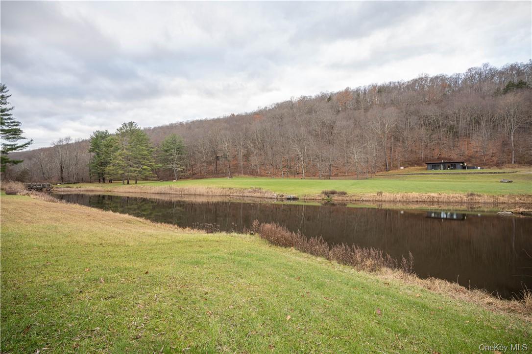 165 Duell Hollow Road Wingdale, NY 12594 - Photo 29 of 30