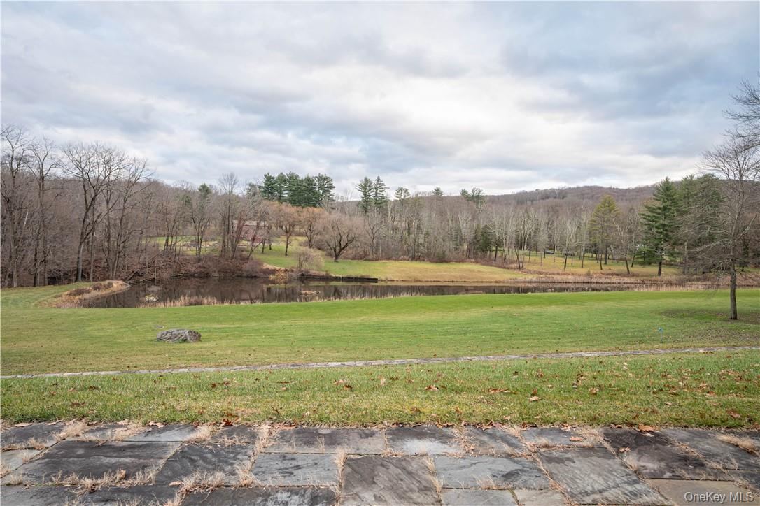 165 Duell Hollow Road Wingdale, NY 12594 - Photo 30 of 30