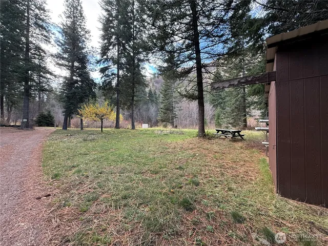a view of a tree in a yard