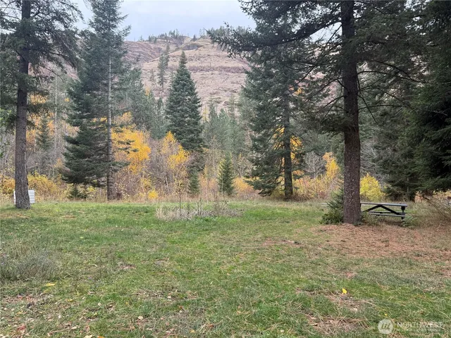 a backyard of a house with fire pit and trees