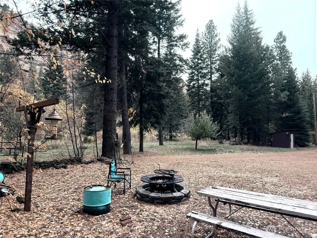 a view of backyard with potted plants and large tree