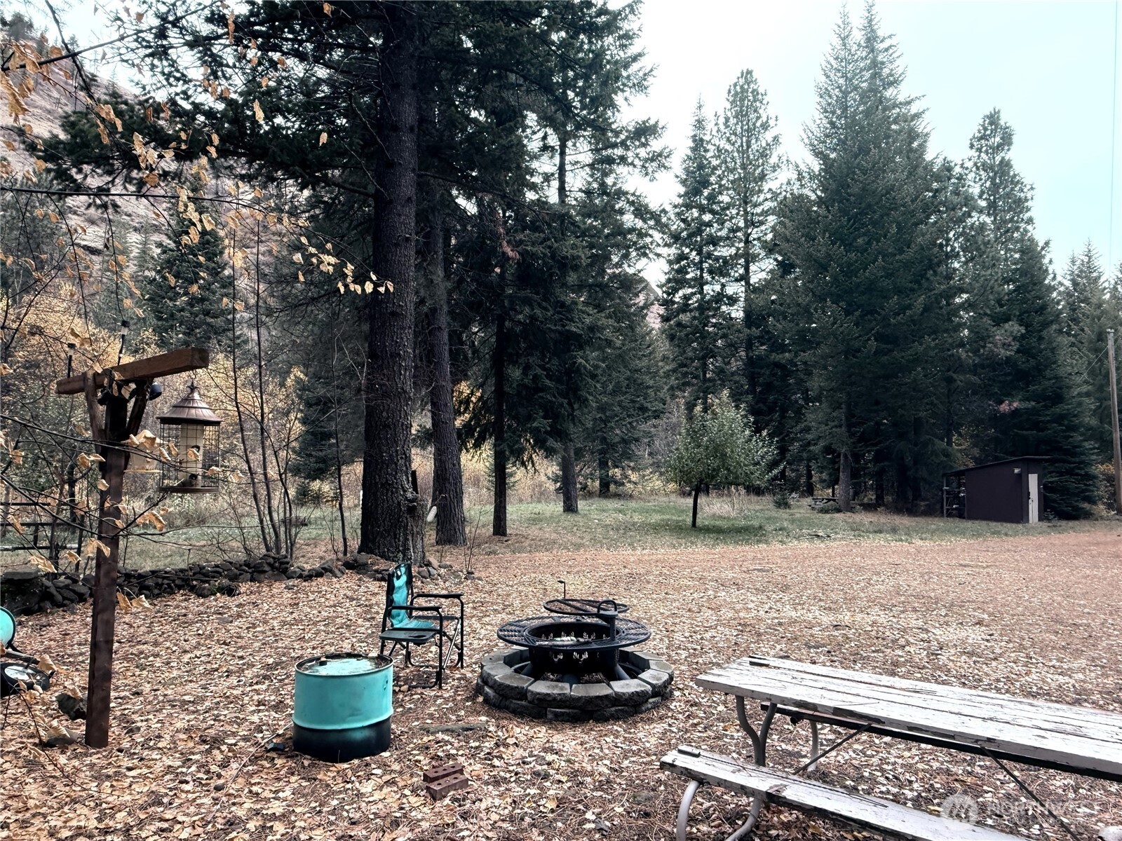 111 Tamarack Lane Dayton, WA 99328 - Photo 27 of 38 a backyard of a house with fire pit and trees