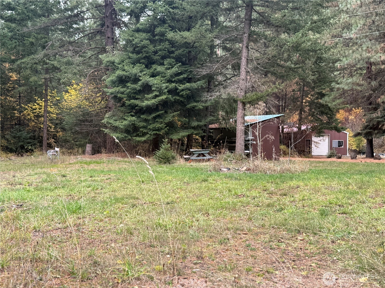 111 Tamarack Lane Dayton, WA 99328 - Photo 28 of 38 a front view of a house with a yard