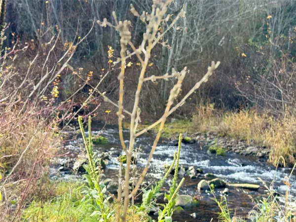 $375,000 | 111 Tamarack Lane, Dayton, WA 99328