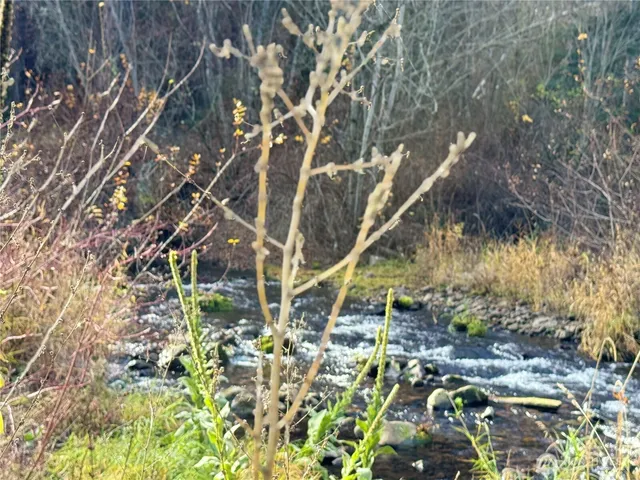 a view of outdoor space with deck and yard
