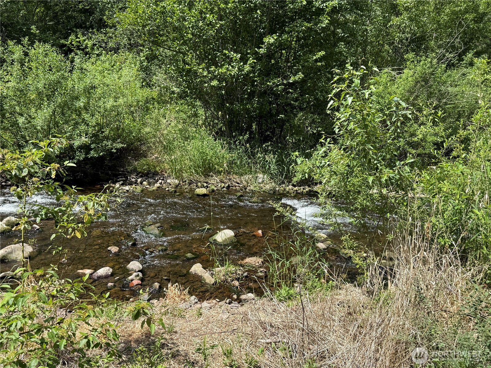 111 Tamarack Lane Dayton, WA 99328 - Photo 36 of 38 a view of a tree in a yard