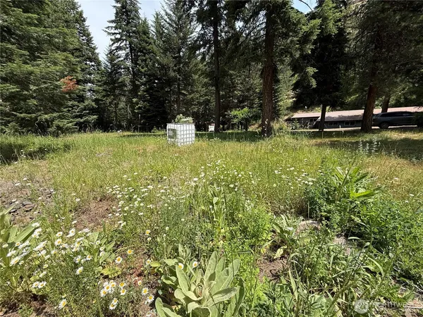 $375,000 | 111 Tamarack Lane, Dayton, WA 99328