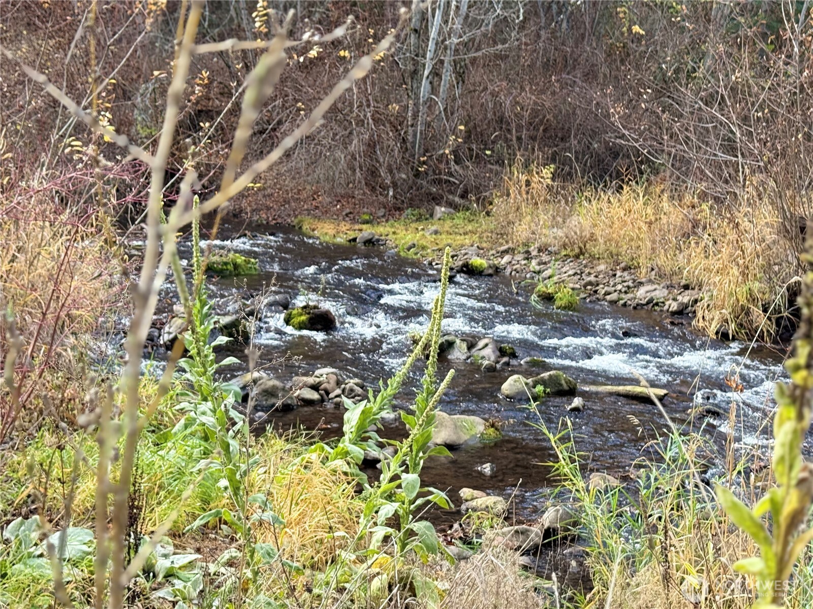 111 Tamarack Lane Dayton, WA 99328 - Photo 5 of 38