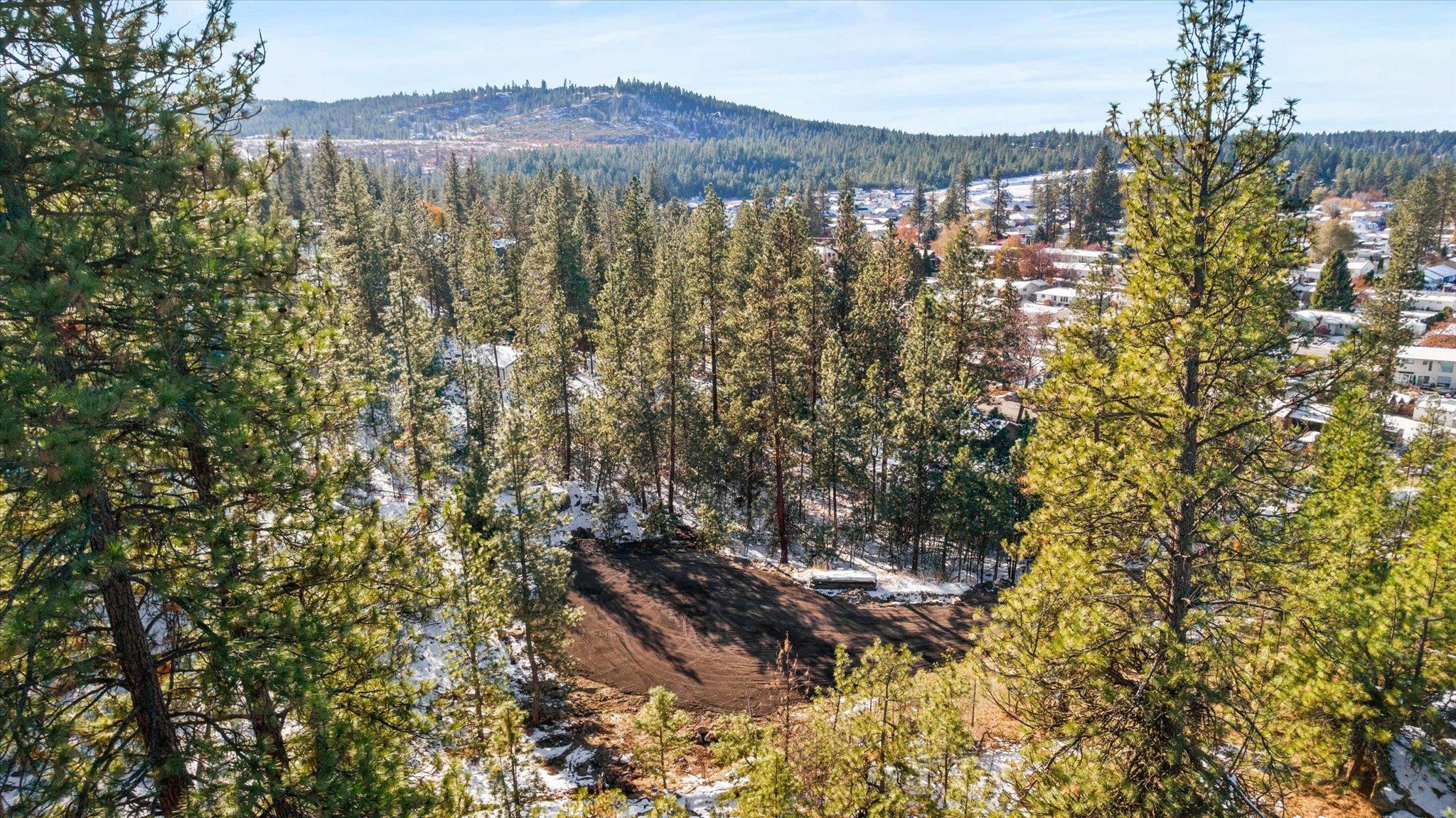 811 South Center Road Spokane Valley, WA 99212 - Photo 1 of 25