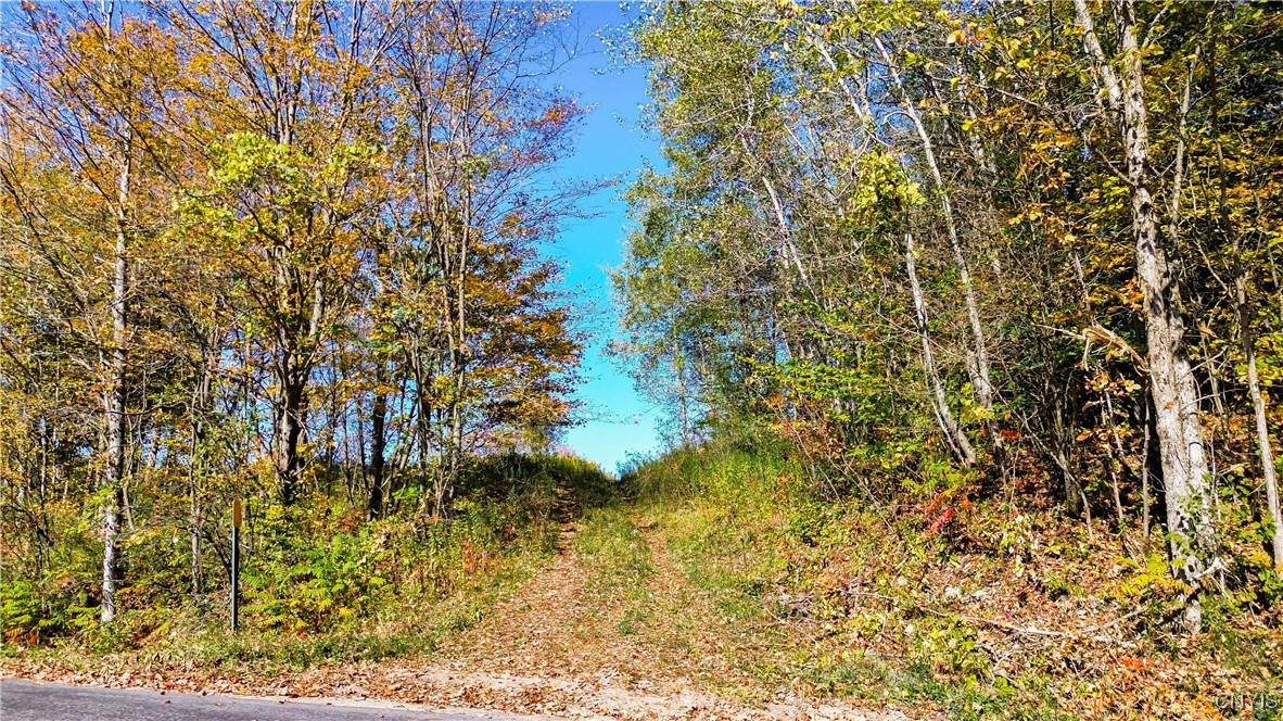 672 Fishing Rock Road Newport, NY 13416 - Photo 3 of 21