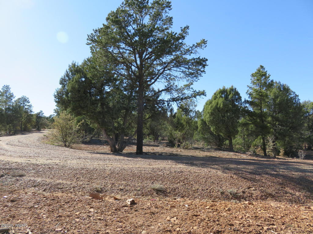 3 Timber Ranch Road Show Low, AZ 85901 - Photo 10 of 12 Gallery Image 10