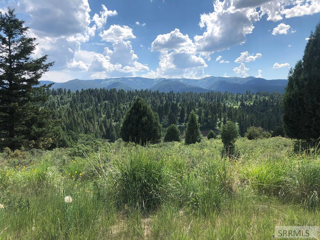 L63-b4 Cutthroat Run Irwin, ID 83428 - Photo 1 of 1 Main View