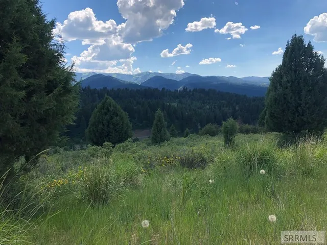 $174,900 | L63-b4 Cutthroat Run, Irwin, ID 83428