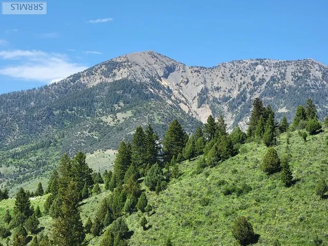 $174,900 | L63-b4 Cutthroat Run, Irwin, ID 83428