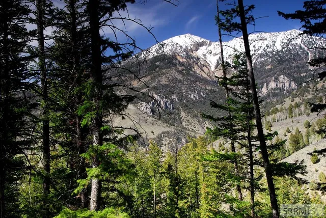 $174,900 | L63-b4 Cutthroat Run, Irwin, ID 83428