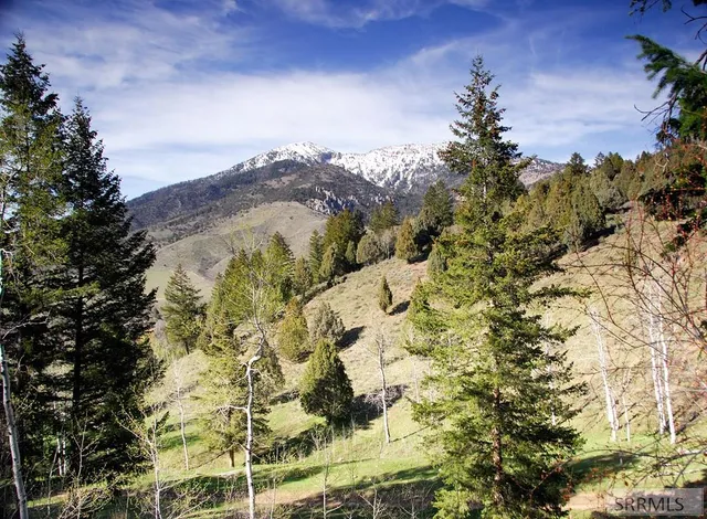 $174,900 | L63-b4 Cutthroat Run, Irwin, ID 83428