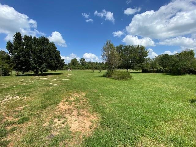 19362 Lanier Creek Road Loranger, LA 70446 - Photo 2 of 10