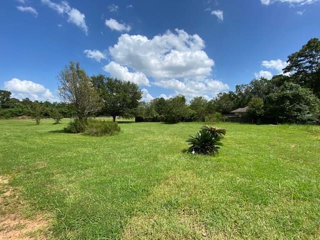 19362 Lanier Creek Road Loranger, LA 70446 - Photo 3 of 10