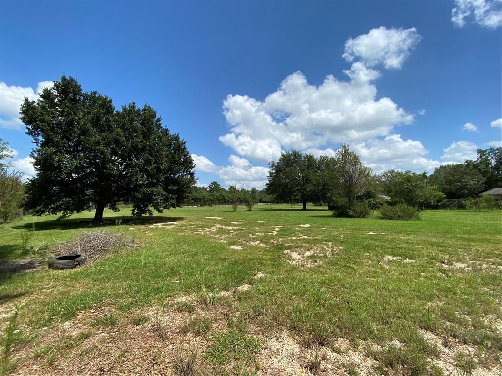 19362 Lanier Creek Road Loranger, LA 70446 - Photo 7 of 10